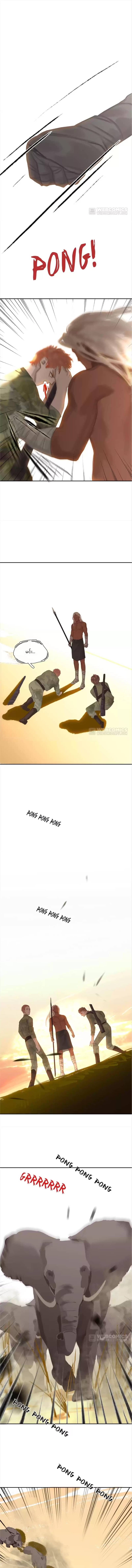 Chapter panel 5