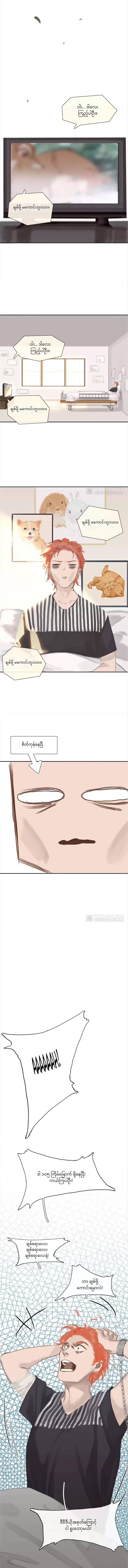 Chapter panel 8