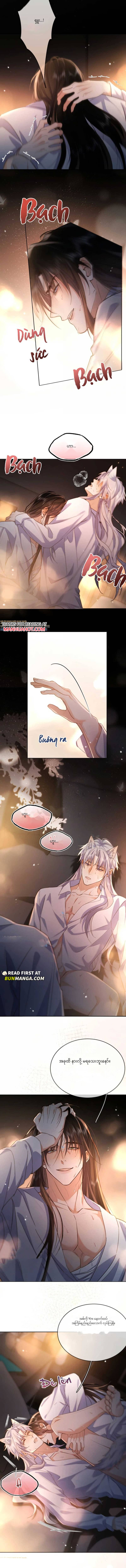 Chapter panel 6