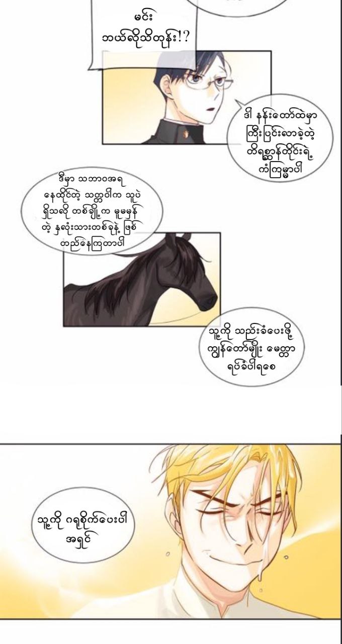 Chapter panel 29