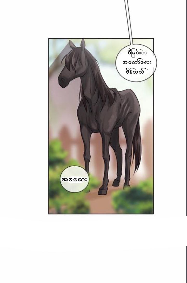 Chapter panel 26