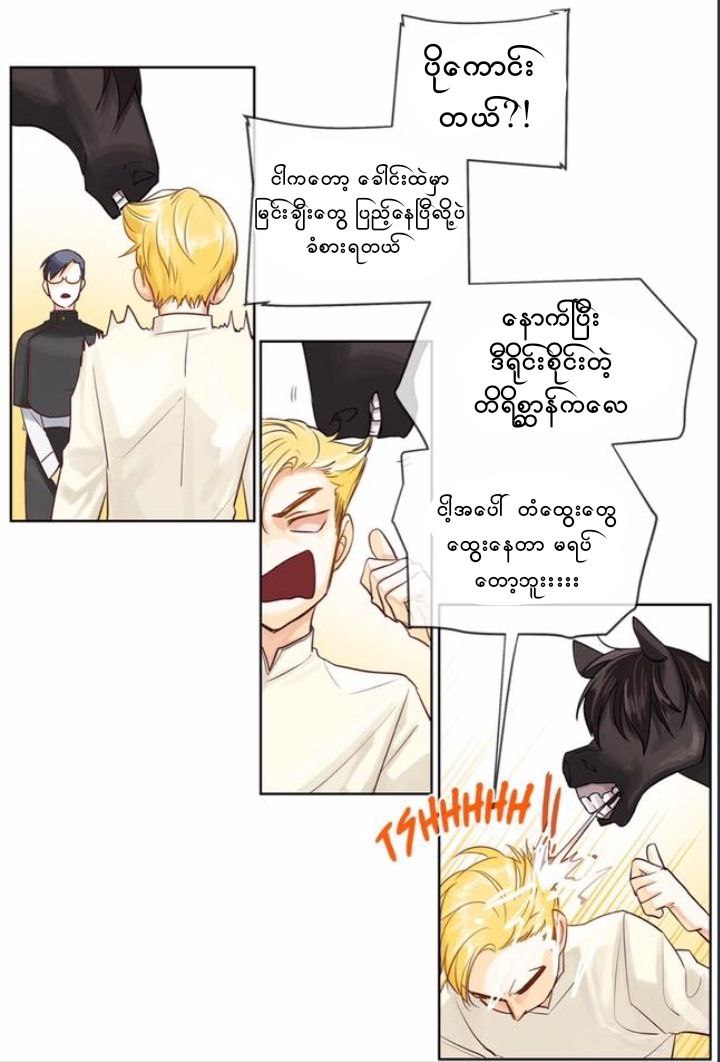 Chapter panel 24