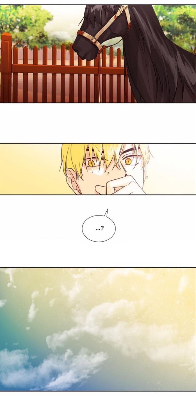 Chapter panel 13