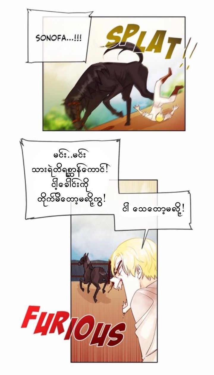 Chapter panel 11