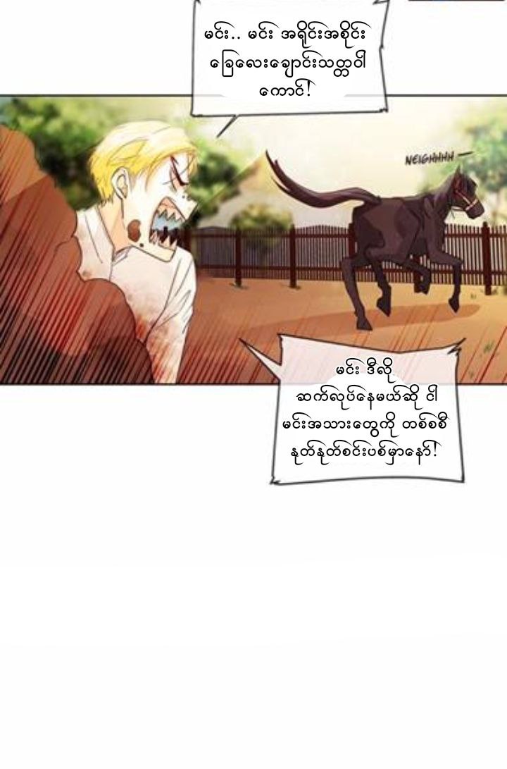 Chapter panel 5