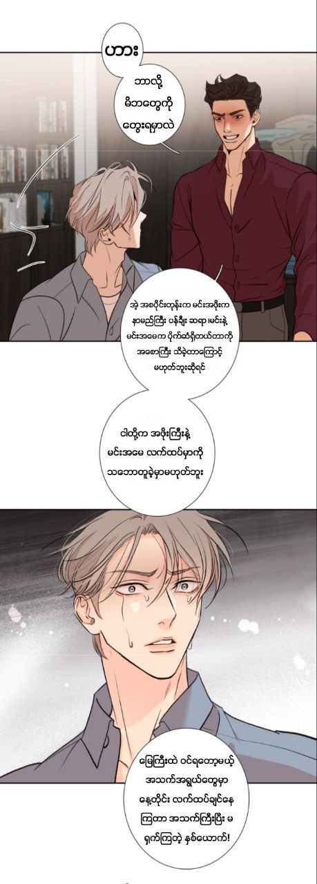 Chapter panel 6