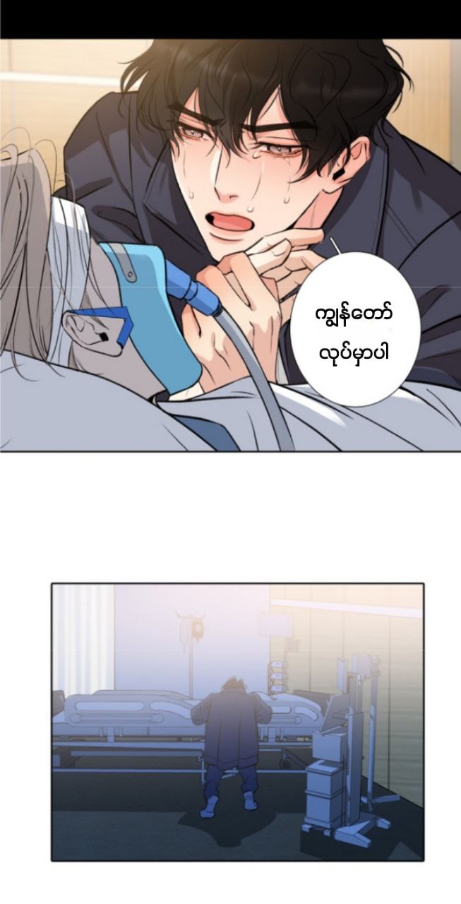 Chapter panel 36